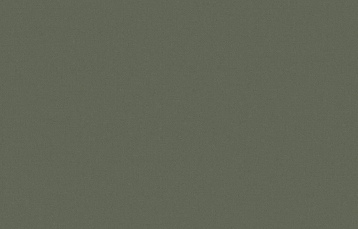 Обои Денди KN 7 005/1 (10,05 х 1 м)