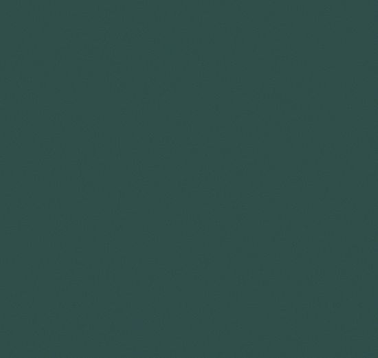 Обои Clair CLR 9 005 (10,05 х 1 м)