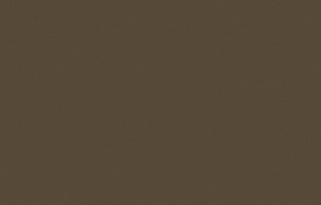 Обои Денди KN 7 004/1 (10,05 х 1 м)