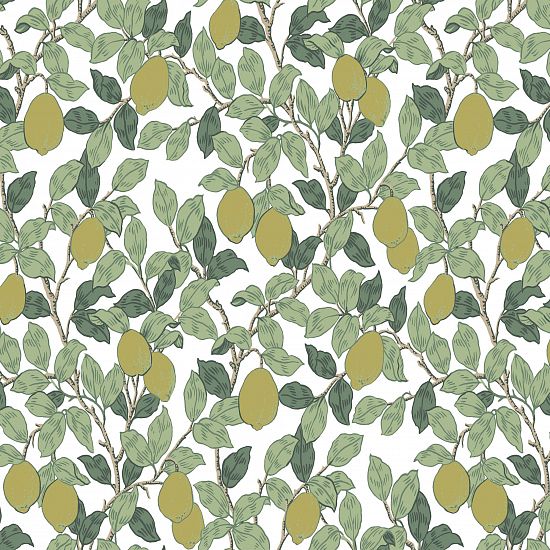 Обои Equator QTR 3 002 (10,05 х 1 м)