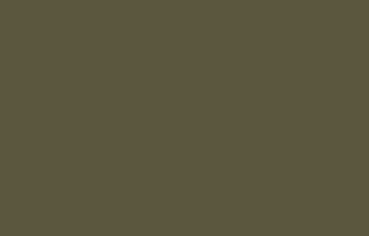 Обои Lotus LOT 1 135  (10,05 х 1 м)