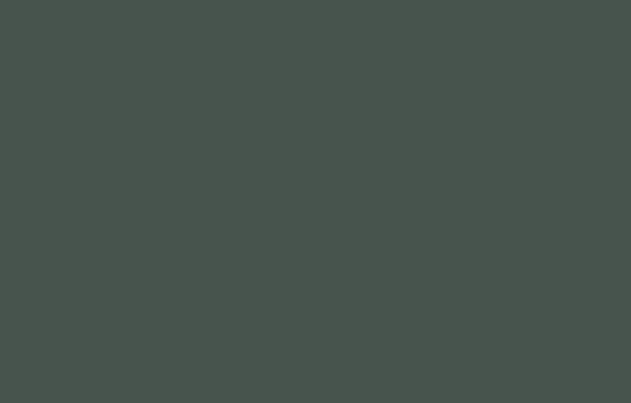 Обои Lotus LOT 1 136  (10,05 х 1 м)