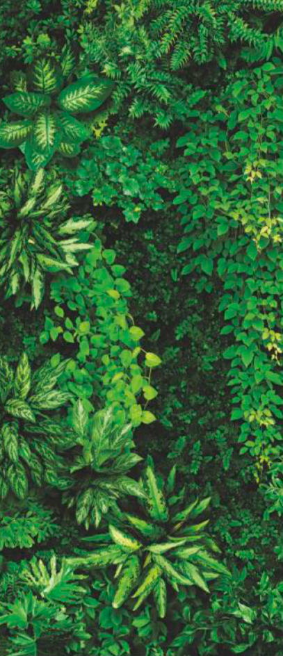Панель АКП Артикул FW-1,3 2500*1200*4 Коллекция GREENHOUSE (PHYTO WALL)