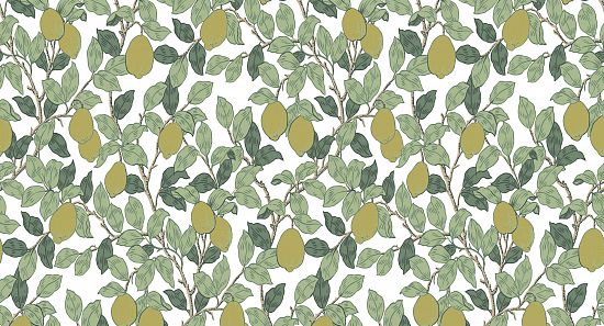 Обои Equator QTR 3 002 (10,05 х 1 м)