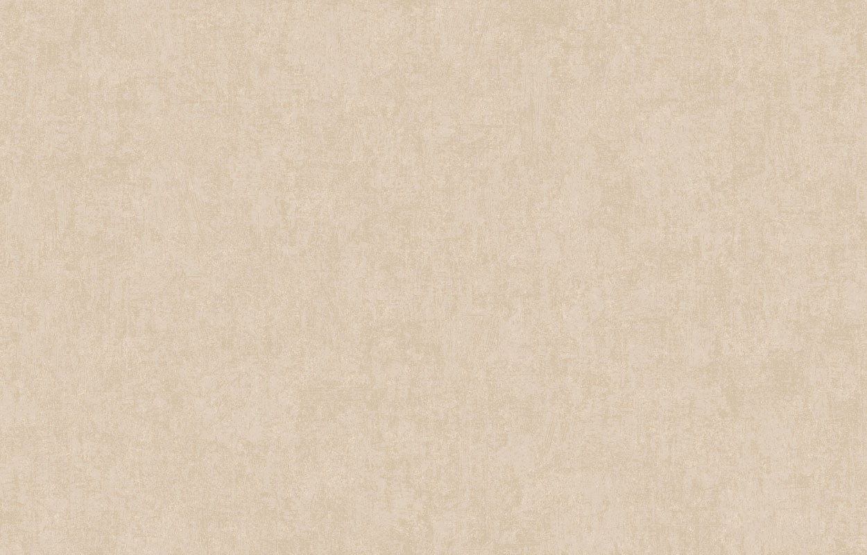 Обои флизелин Holidays ARTS13 003 (10,05 х 1 м)