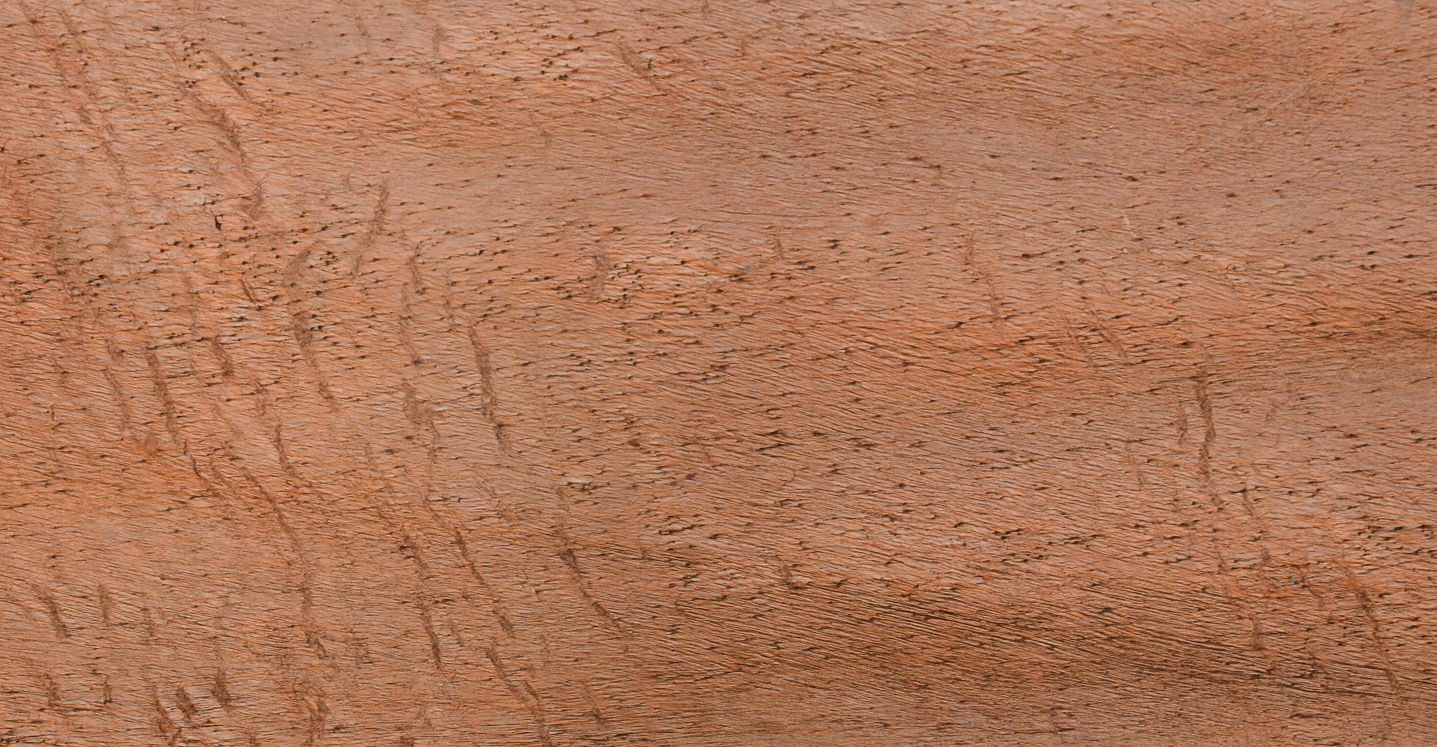 Прозрачный шпон Auburn (Cobre New) 122*61