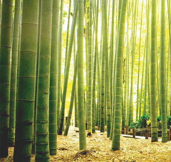 Панно Illusion vol. II DS 025, кв.м.