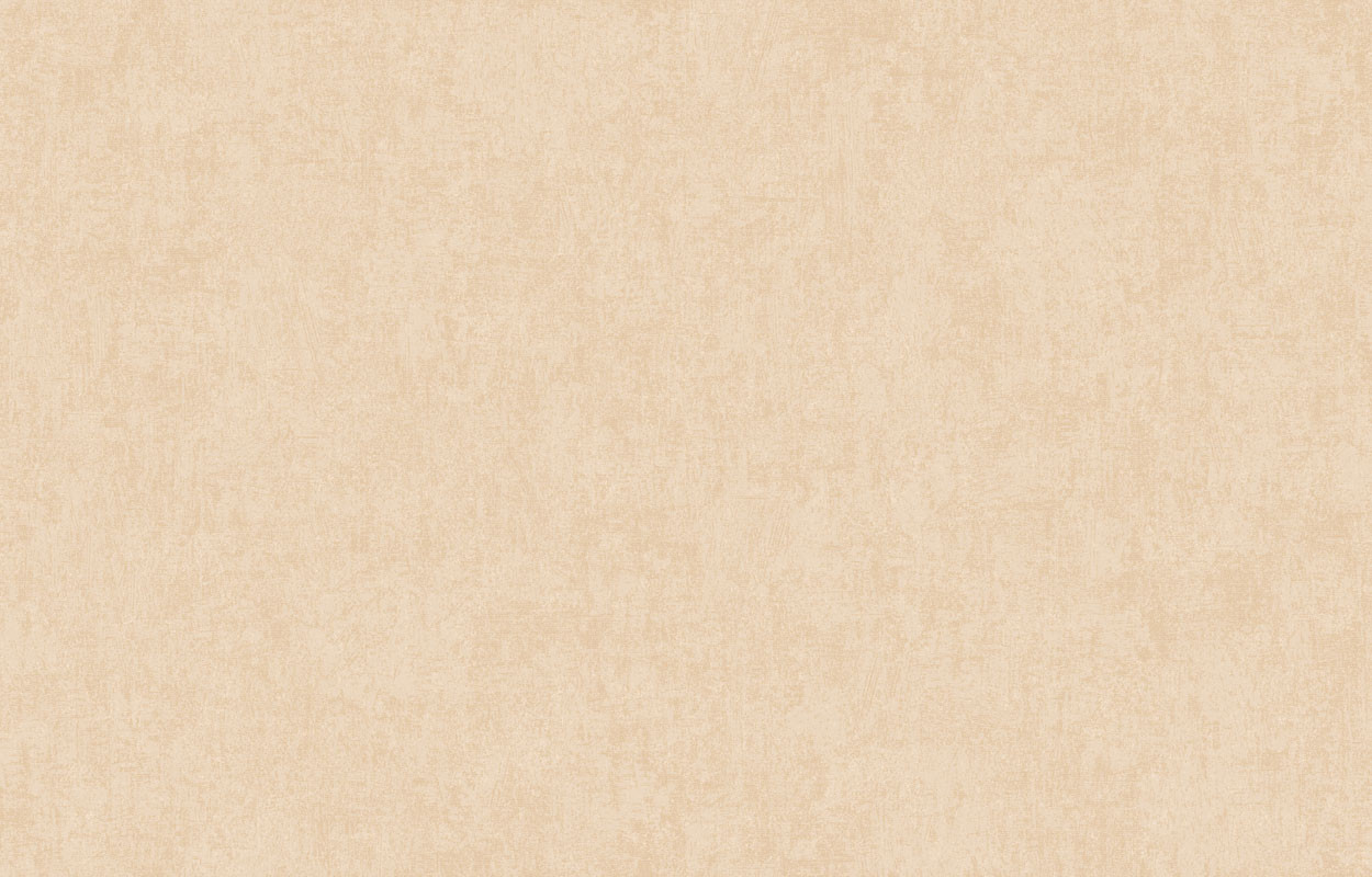 Обои флизелин Holidays ARTS13 003/1 (10,05 х 1 м)