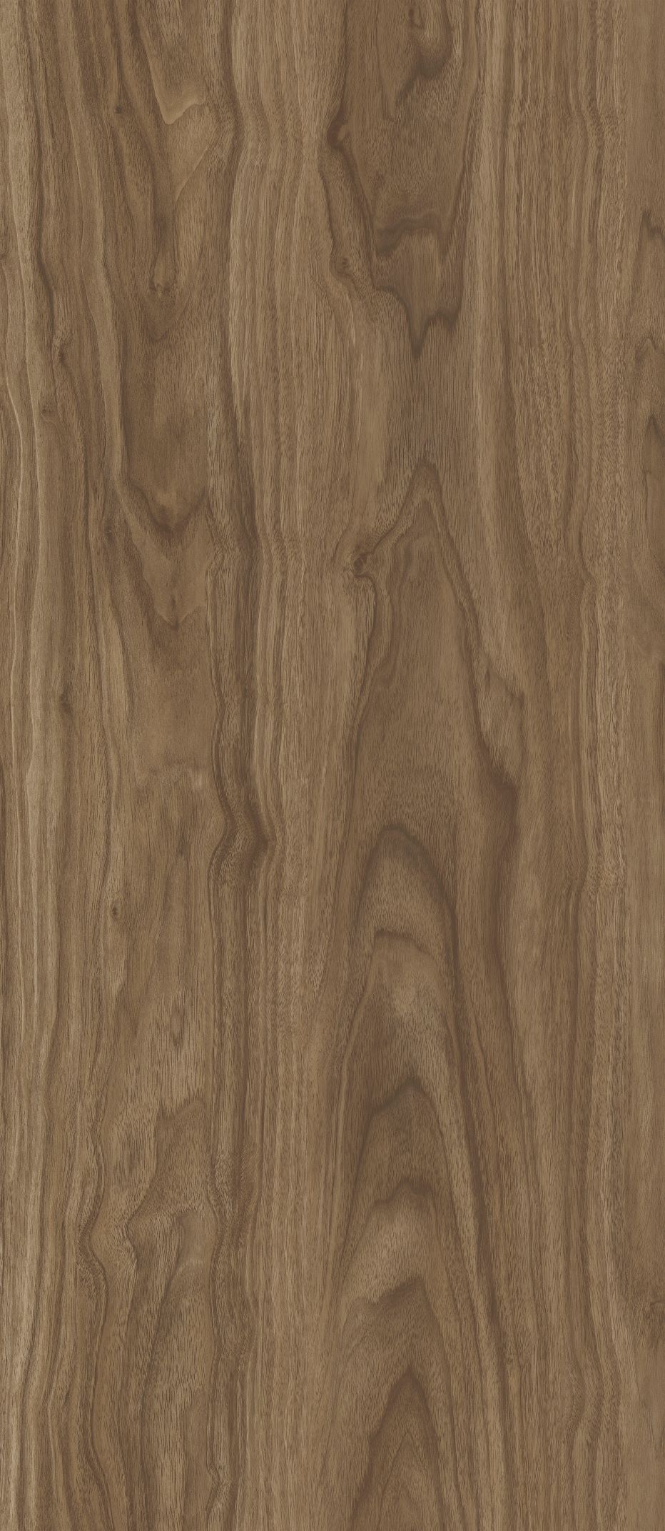 Панель МДФ Артикул MK-1,1 2800*1200*6 Коллекция OAK (OAK MACRO ARABICA) мат