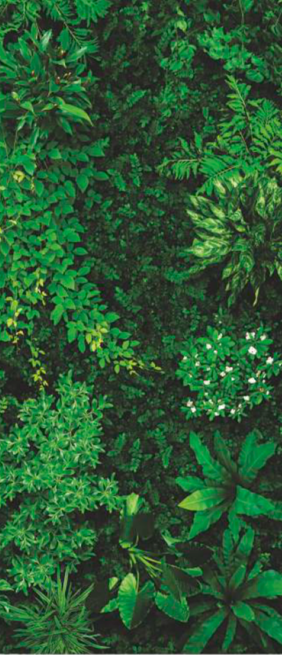 Панель АКП Артикул FW-1,4 2500*1200*4 Коллекция GREENHOUSE (PHYTO WALL)